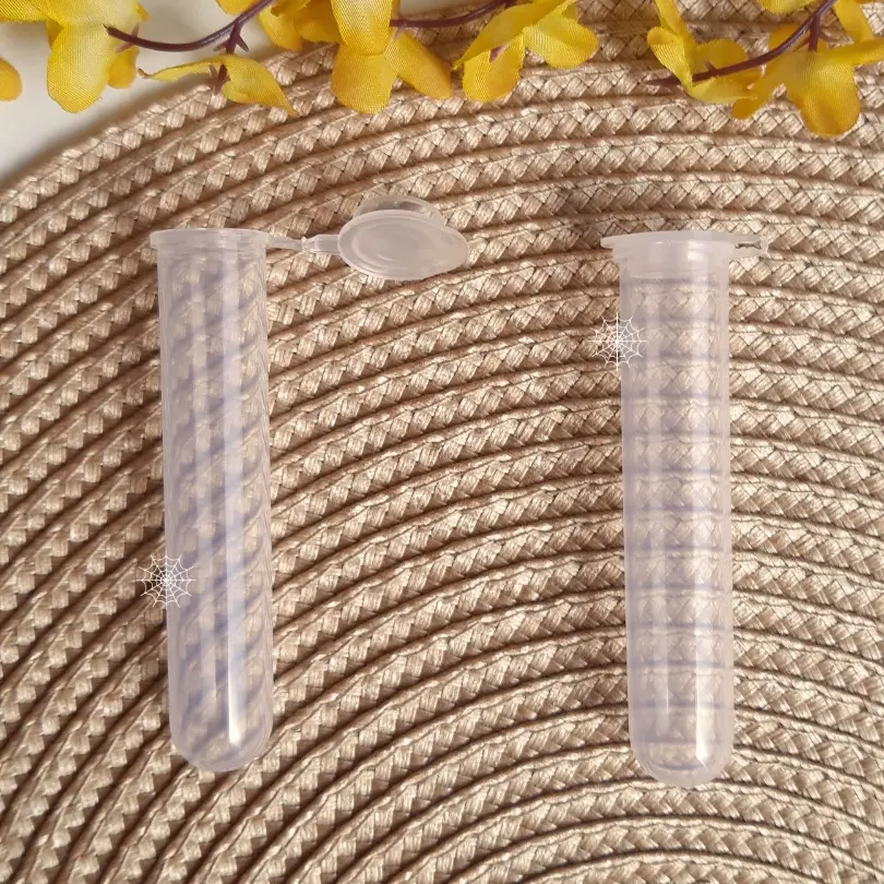 Copia de WEB (19).webp