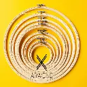 Bastidores de Bambú