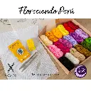 Kit Floreciendo Perú