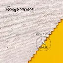 Tocuyo Carioca